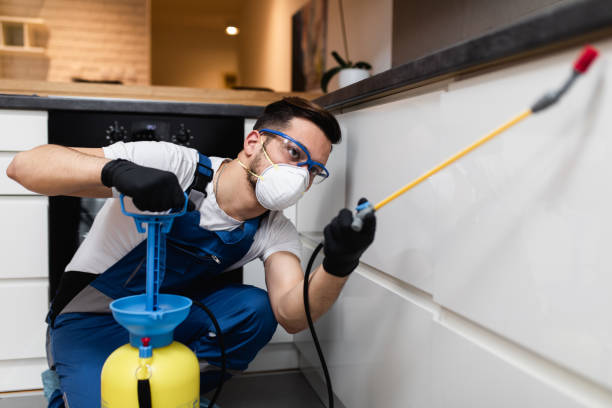 Reliable Rockford, IL Pest Control Solutions