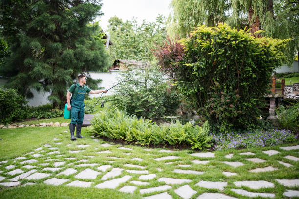 Best Pest Removal Services  in Rockford, IL