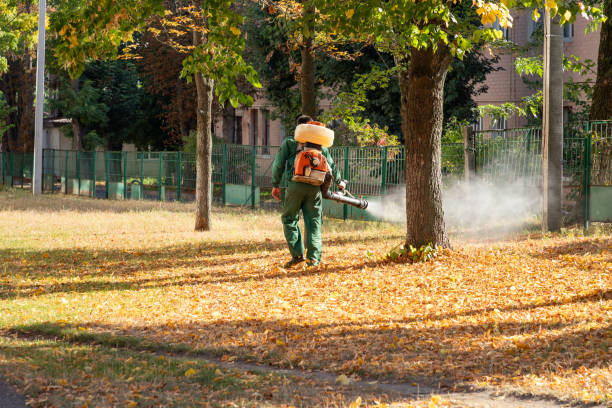 Best Mosquito Control Services  in Rockford, IL