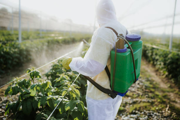 Best Commercial Pest Control Services  in Rockford, IL
